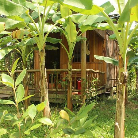 Отель Pepper Farm Дуонг-Донг Экстерьер фото