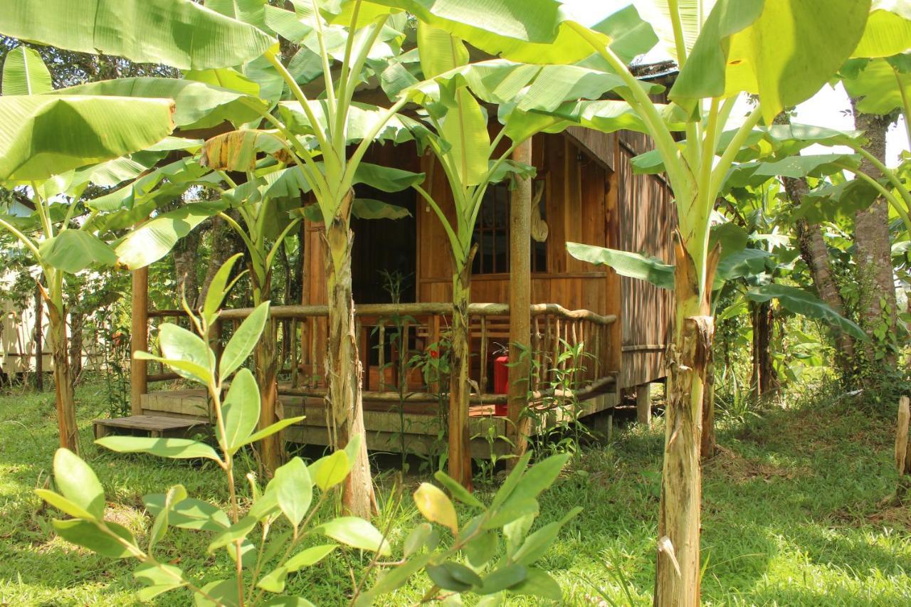 Отель Pepper Farm Дуонг-Донг Экстерьер фото