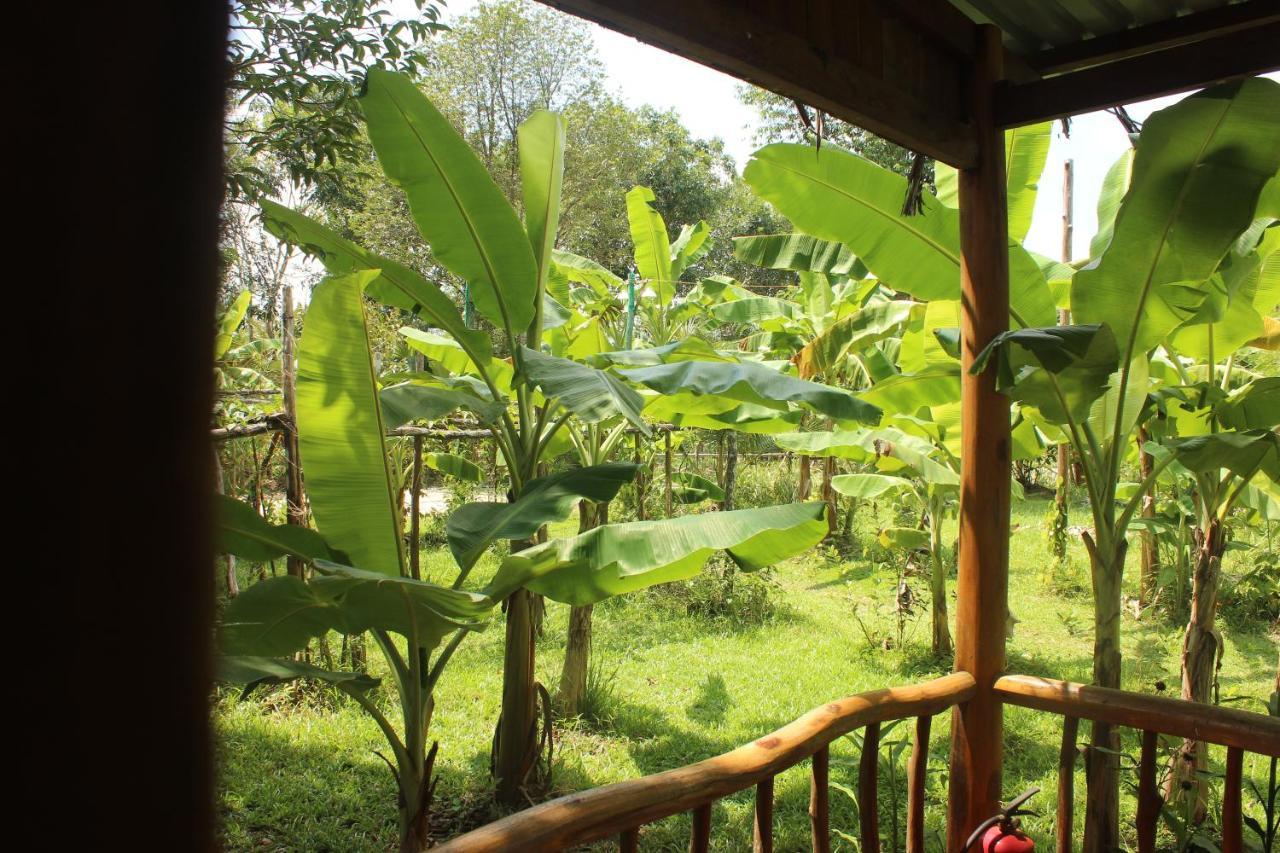 Отель Pepper Farm Дуонг-Донг Экстерьер фото
